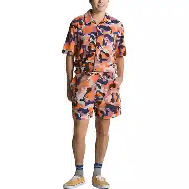 Vans Queer Poets Tyris Winter Shorts