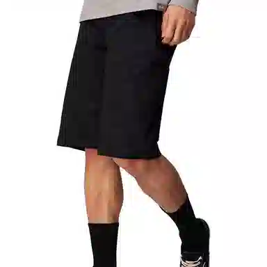 Dickies SS23 Logo Shorts