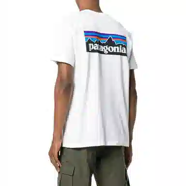 patagonia T