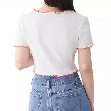 WESTLINK T