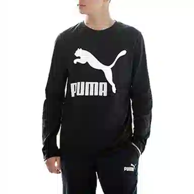 Puma T