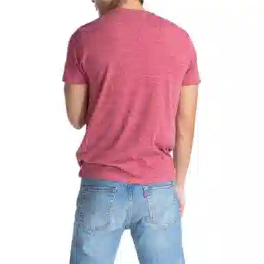 levis T