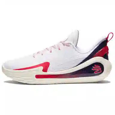 Under Armour Curry Flow 12