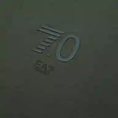 EMPORIO ARMANI EA7 T