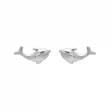 May10th S925 Earrings