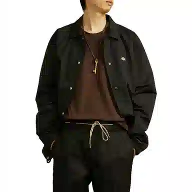 Dickies