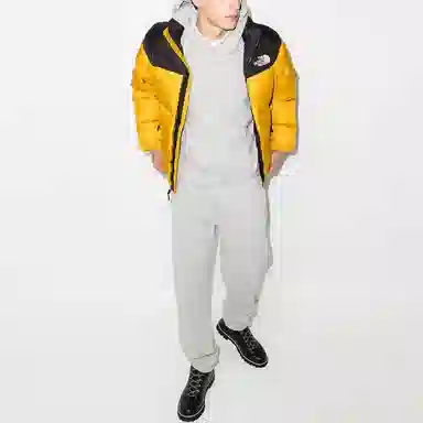 THE NORTH FACE 1996 Retro Nuptse 700