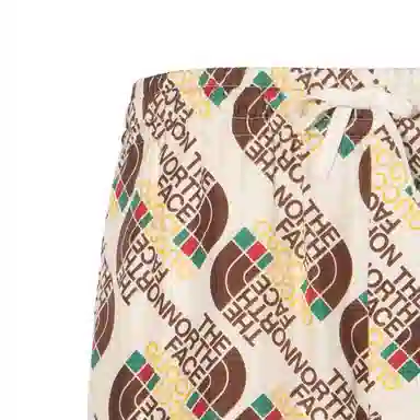 GUCCI x THE NORTH FACE SS21 Logo