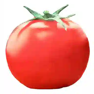 35cm40cm50cm60cm90cm110cm