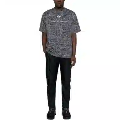 giuseppe zanottiGZ T