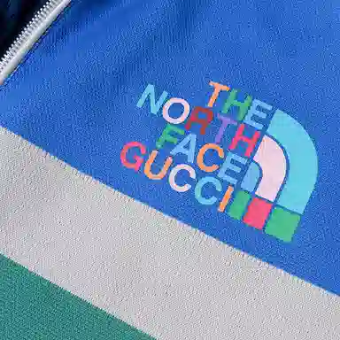 GUCCI x THE NORTH FACE FW22 Logo Jacket