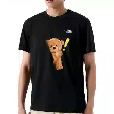 THE NORTH FACE logoT