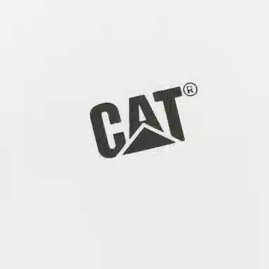CAT T