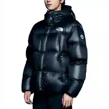 THE NORTH FACE FW23 Eco BARUNTSE DOWN Logo