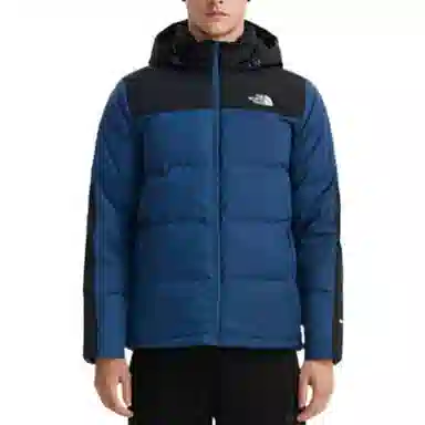 The North Face FW22 Logo Print Colorblock Down Jacket