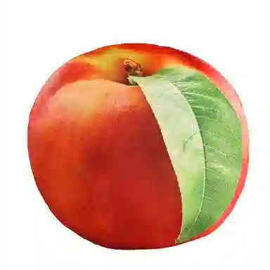 30cm35cm40cm45cm50cm