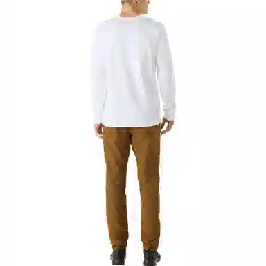 Arcteryx Levon winterwight