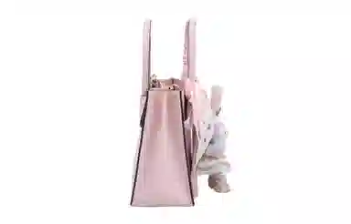 MICHAEL KORS OKHR Tote
