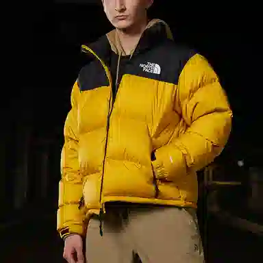 THE NORTH FACE 1996 Retro Nuptse 700