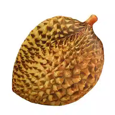 30cm35cm40cm45cm50cm