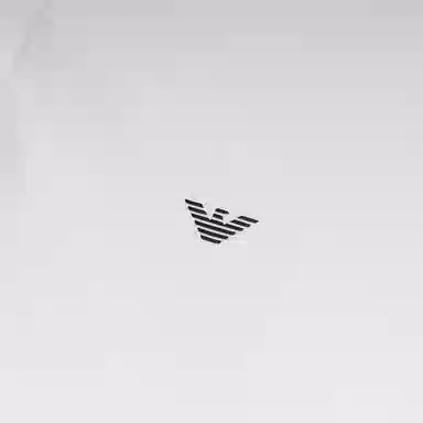 EMPORIO ARMANI FW22 LogoPolo
