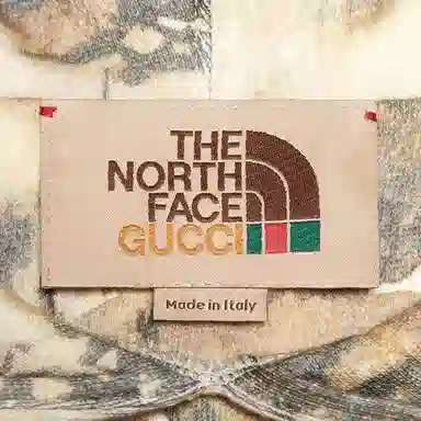 Gucci x The North Face Forest Print Hoodie