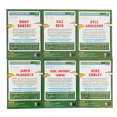 PANINI 2023-24 OP 249