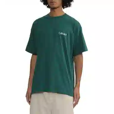 Carhartt WIP Soil T-Shirt Green