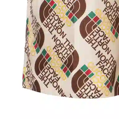 GUCCI x THE NORTH FACE SS21 Logo