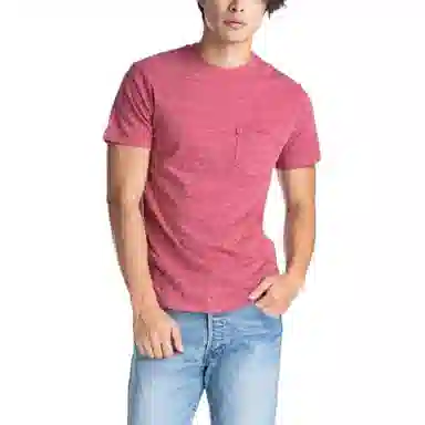 levis T