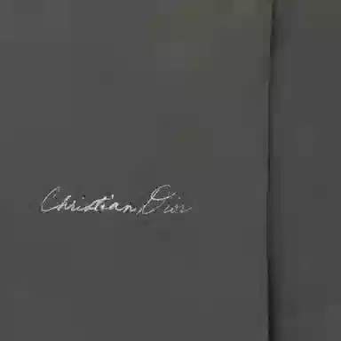 DIOR SS24 LogoT