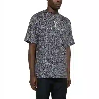 giuseppe zanottiGZ T