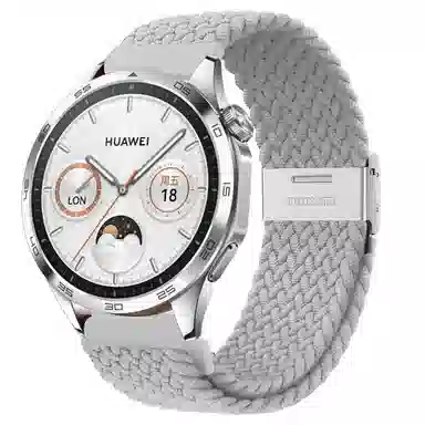 watchbond GT4gt3progt2watch43promagic22e 2022mm