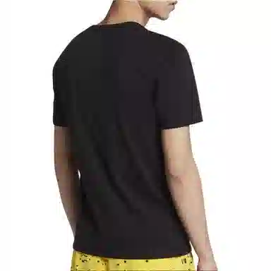 Air Jordan slamdunk T