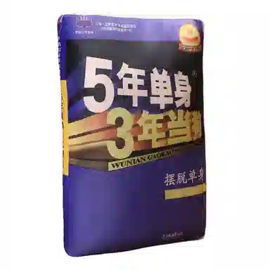 涩购 书本布娃娃 五年单身三年当狗创意柔软 玩偶周边