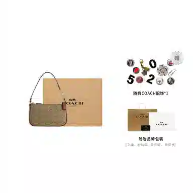 COACH Nolita 19