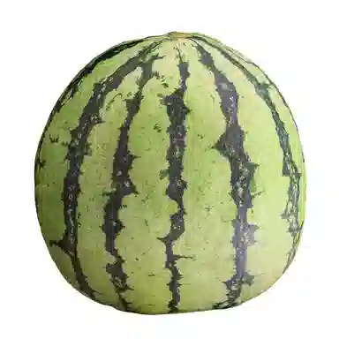 30cm35cm40cm45cm50cm