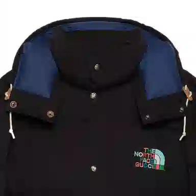 GUCCI x THE NORTH FACE FW22 Down Jacket Black