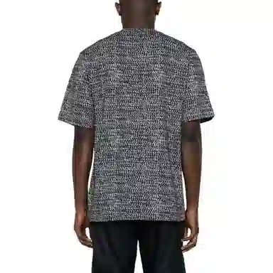 giuseppe zanottiGZ T