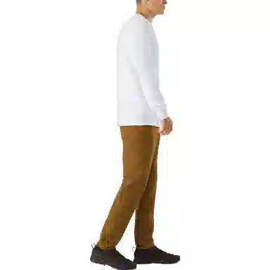 Arcteryx Levon winterwight