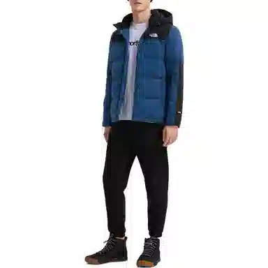 The North Face FW22 Logo Print Colorblock Down Jacket