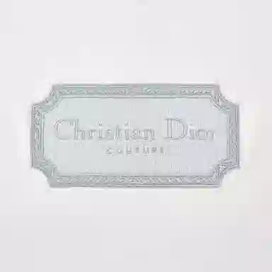 DIOR SS22 T