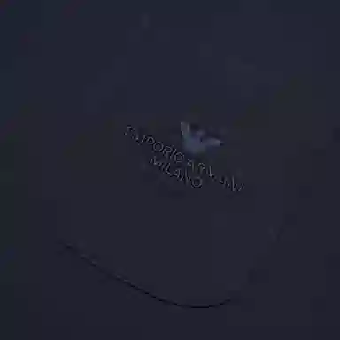 EMPORIO ARMANI Logo SS24 T