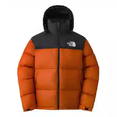 THE NORTH FACE FW24 1996 NUPTSE700