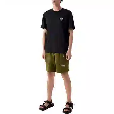 THE NORTH FACE logoT