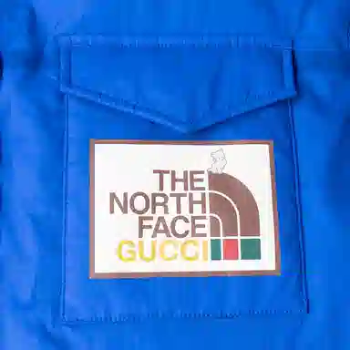 GUCCI x THE NORTH FACE Logo