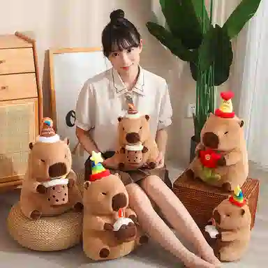 30cm40cm