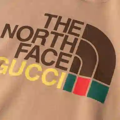 GUCCI x THE NORTH FACE Logo