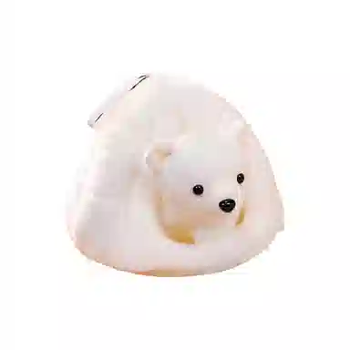 20cm