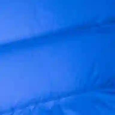 GUCCI x THE NORTH FACE Logo